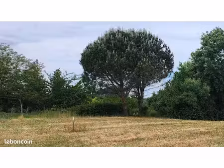 vente terrain 1000 m² à saint-jean-de-folleville (76170)  53 000 €
