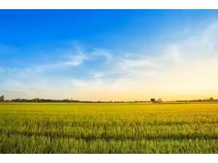 vente terrain 1000 m² à anteuil (25340)  61 250 €