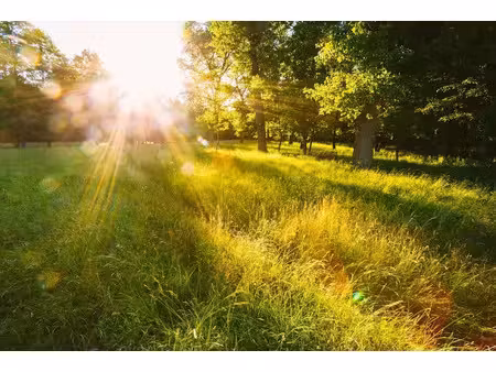 vente terrain 500 m² à valentigney (25700)  65 000 €