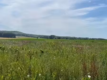 vente terrain à batir 3744 m² à noyon (60400)  66 000 €