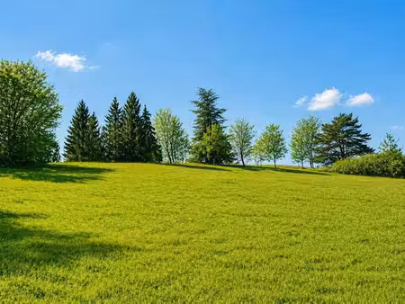 vente terrain 1500 m² à trélissac (24750)  66 000 €