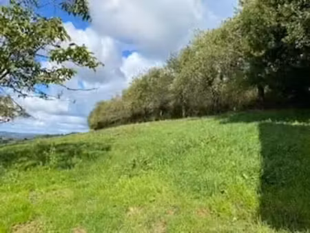 vente terrain 4133 m² à voutezac (19130)  78 000 €
