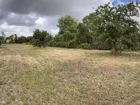 vente terrain à celles-sur-belle (79370) : à vendre / celles-sur-belle