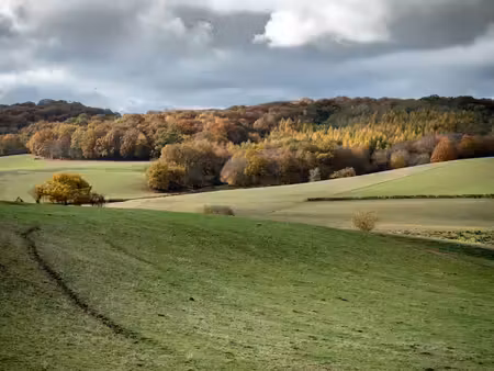 vente terrain 857 m² à sainte-suzanne (25630)  89 985 €