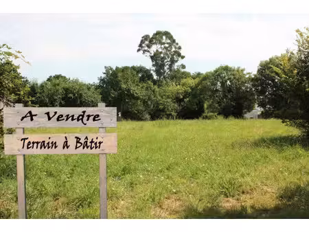 vente terrain 961 m² à villeneuve-tolosane (31270)  150 000 €