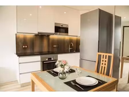 studio refait à neuf meublé 25 m² + parking sous terrain