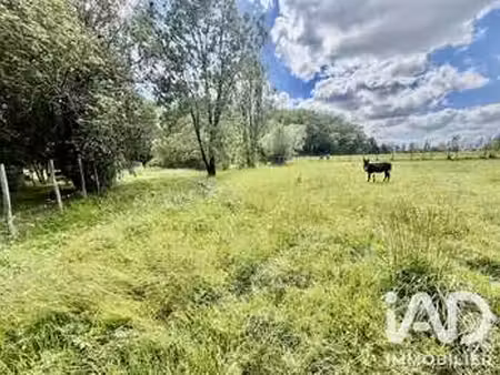 vente terrain à bonzac (33910) : à vendre / 1400m² bonzac