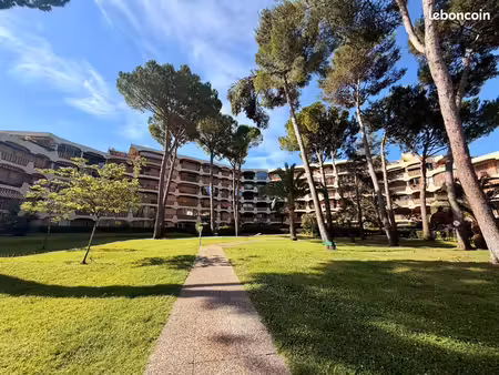 studio 1 pièce 20 m²