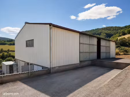 entrepôt professionnel – idéal primeur  artisan  logistique ou stockage