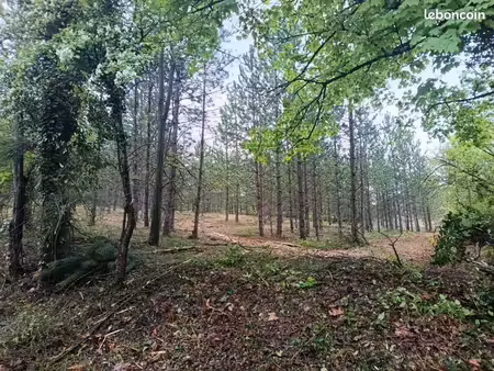 terrain à bâtir de 506 m² à mollans-sur-ouveze (26)
