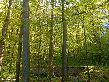 a vendre parcelle forestière aizier