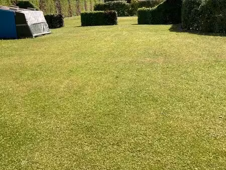 terrain viabilisé