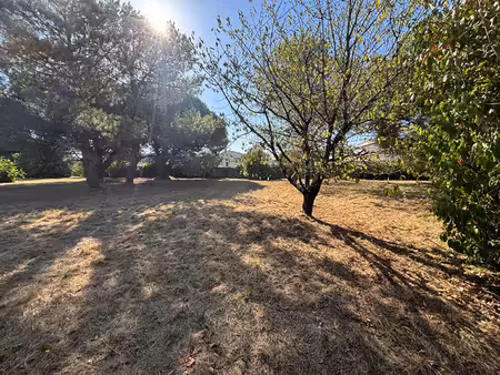 vente terrain 1000 m² dolus-d’oléron (17550)