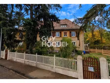 appartement 3 pièces avec jardin  garage et dépendances à sélestat