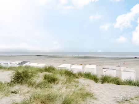 appartement à vendre à nieuwpoort € 415.000 (lqua6) - era servimo (nieuwpoort) | zimmo