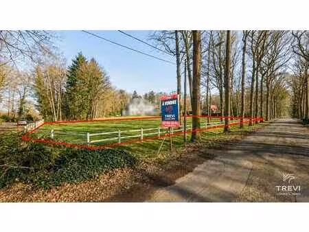 bois du strihoux. formidable terrain à bâtir