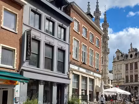 bel appartement dans le centre historique de louvain