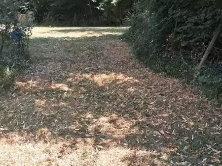 terrain de loisir avec joli petit plan d'eau