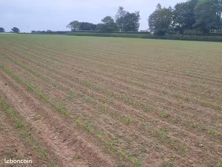 terrain 519 m² plouguerneau