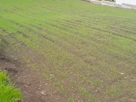 terrain constructible viabilisé