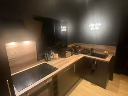 studio 1 pièce 47 m²