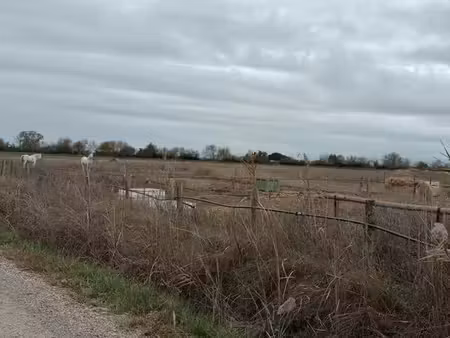 terrain agricole 3 5 ha