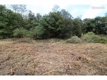 terrain 400 m² plantiers