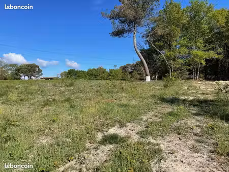 terrain 1 000 m² roaillan
