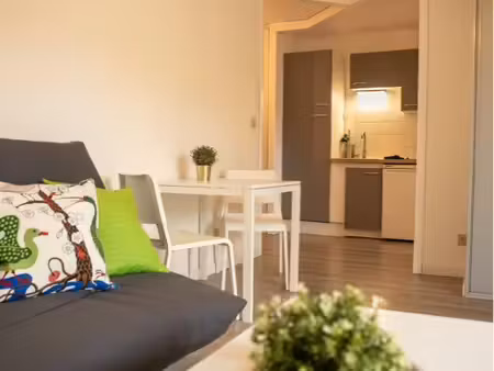 studio 27m2 à gex
