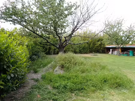 terrain 599 m² le fauga