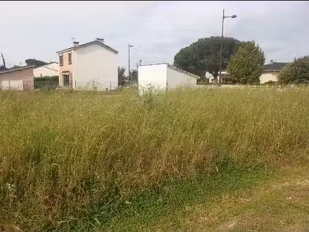 terrain constructible