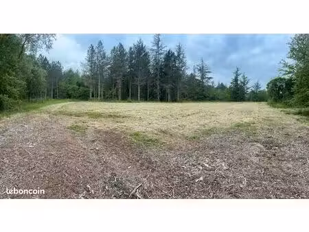 terrain 2000m2