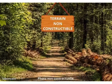terrain 13 657 m² laruscade