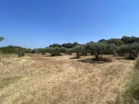 terrain 1 700 m² saint siffret