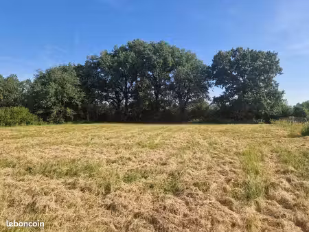 terrain 1 520 m² pujaudran