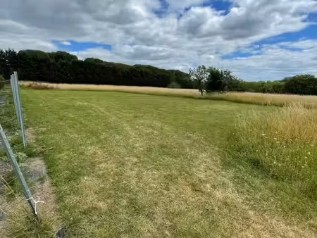 terrain 504 m² cerons