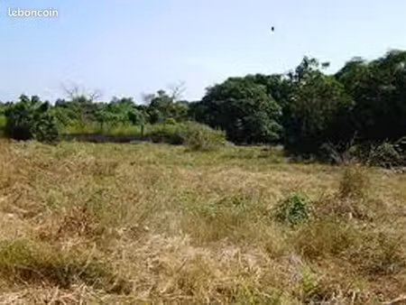 terrain 645 m² cissac medoc
