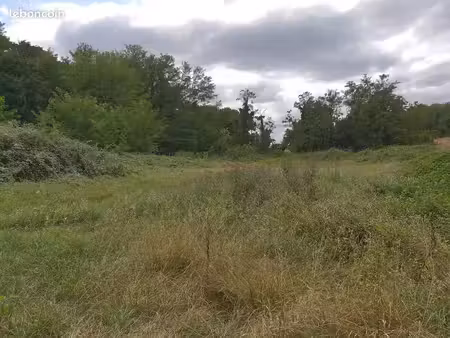 terrain agricole pour plantation peupliers 6 ha bonne humidité toute l'année