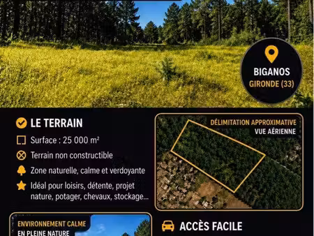 terrain boisé 25 000 m² – nature & loisirs – biganos