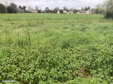 terrain 277 m² libourne