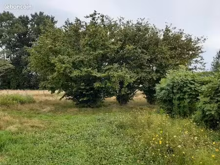 terrain 600 m² podensac