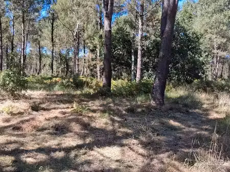 terrain agricole
