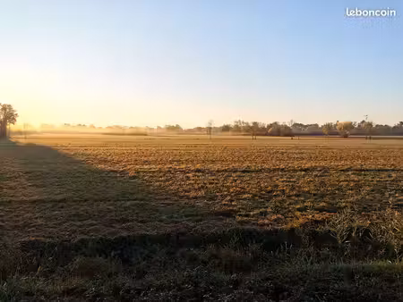 immobilier terre agricole