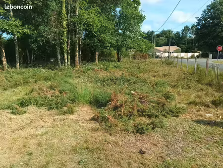 terrain constructible
