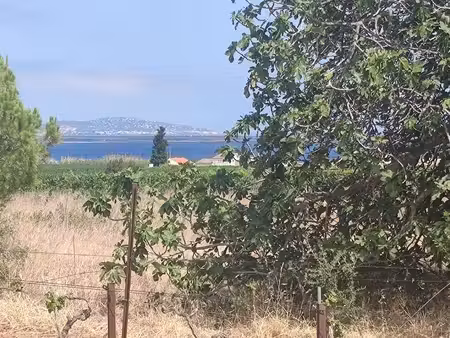 vente terrain 2220m2 à marseillan agricole jardin ou loisir vue sur étang de thau a aménag