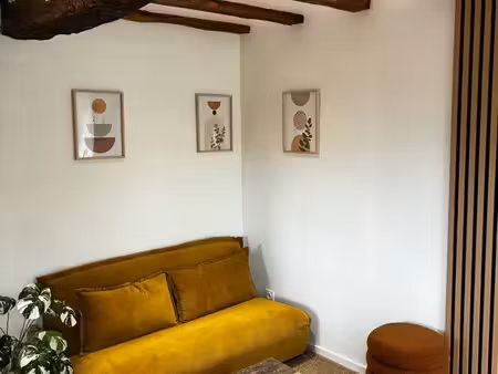 appartement refait à neuf avec vue sur les pyrénées