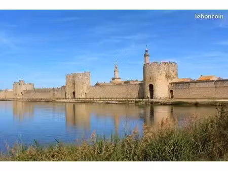 recherche location aigues mortes