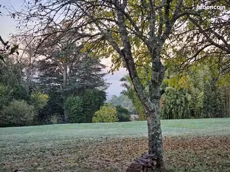 terrain 540 m² loupes