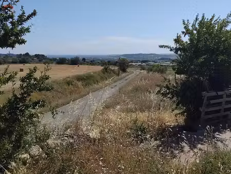 parcelle agricole