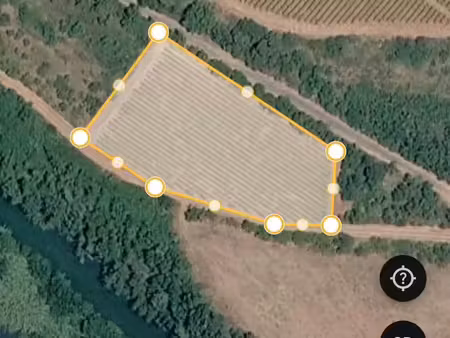 vigne/terrain